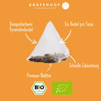BIO Balanced Vitality Thee, 15 piramidezakjes