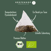 BIO Japanse Sencha Thee, 15 piramidezakjes