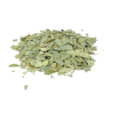 Eucalyptusblad - Eucalyptus Thee Tuana Shop