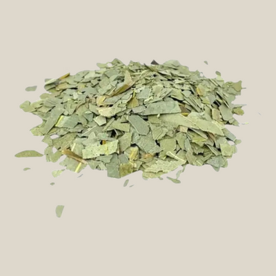 Tuana Eucalyptus Blad – gedroogde eucalyptusbladeren voor kruidenthee, luchtwegen en aromatische kruideninfusies