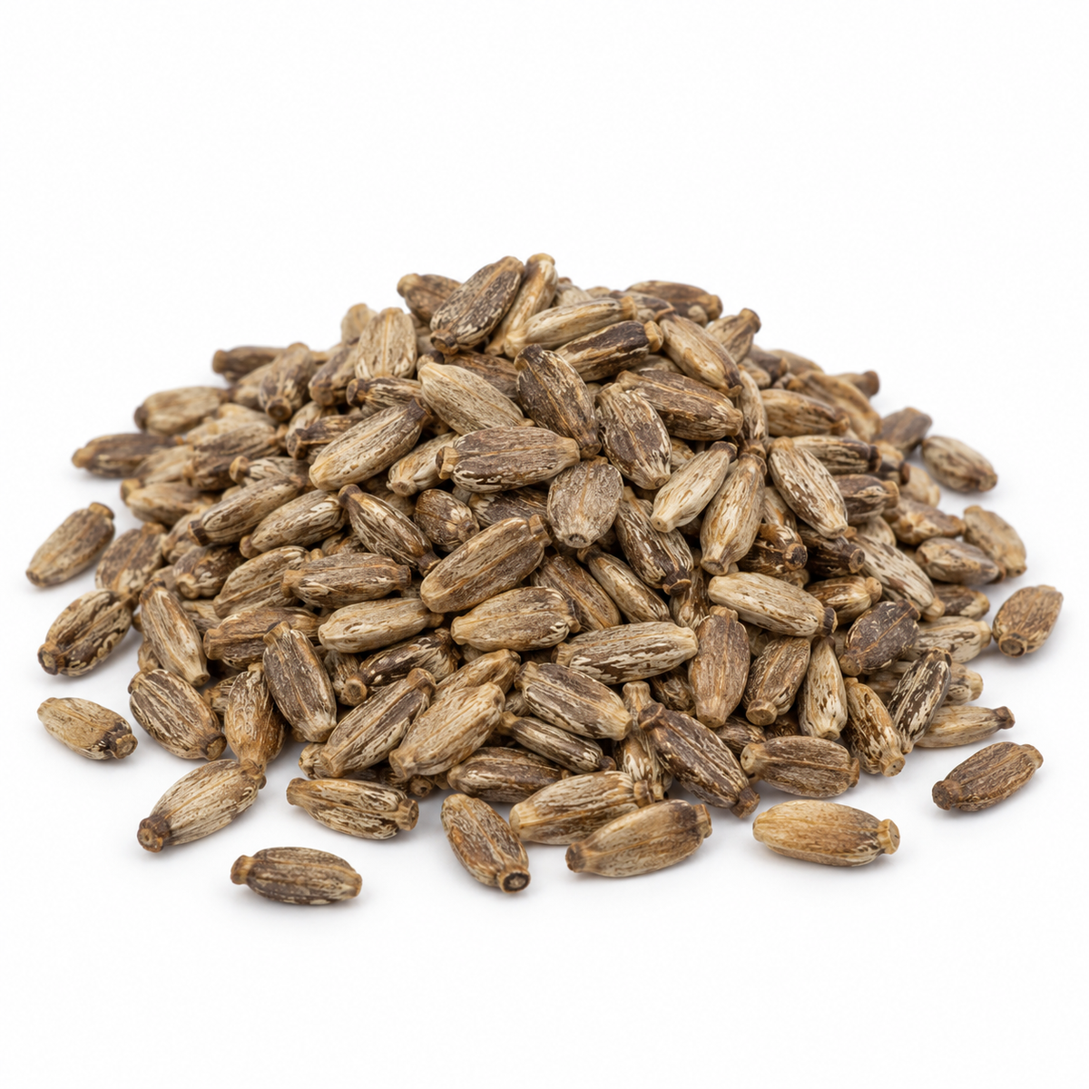 Mariadistelzaad Heel – Deve Dikeni Tohumu – 100 g