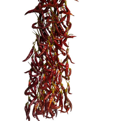 Chilischoten – sonnengetrocknet – Urfa