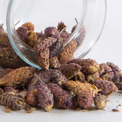 Französischer Lavendel - Karabas Otu 35 g