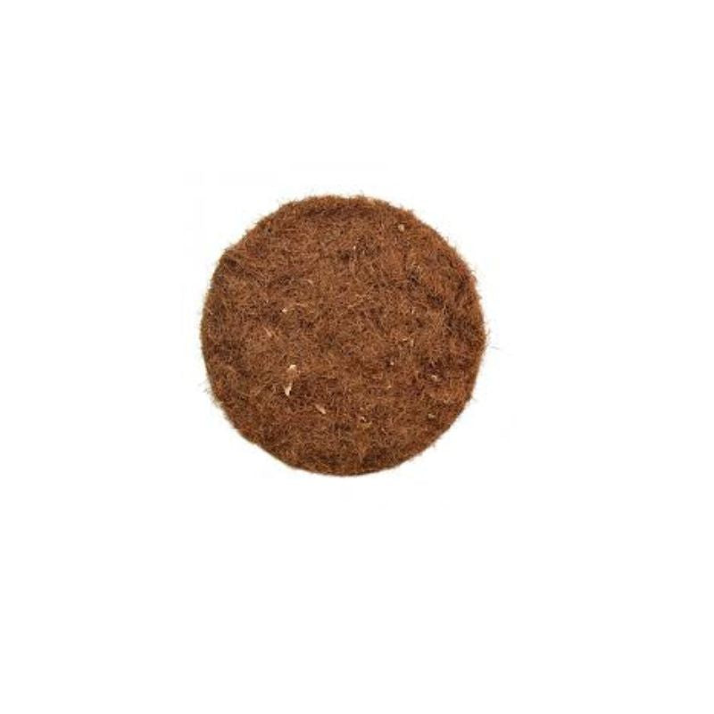 Maisbart (20g)