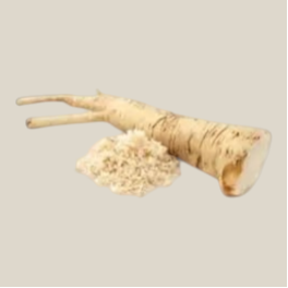 TuanaShop BV gemalen mierikswortel naast een verse, beige mierikswortelwortel voor een pittige smaakmaker.