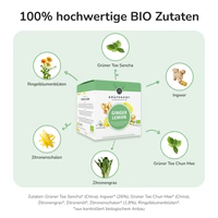BIO Gember-citroen Thee, 15 piramidezakjes