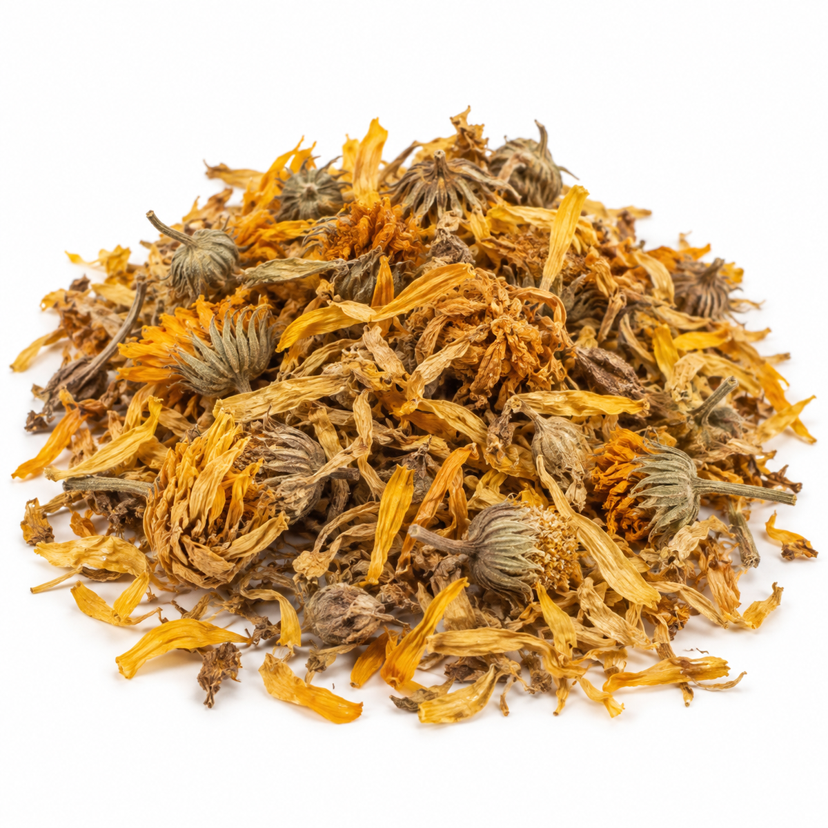 Goudsbloem met Knopje – Aynısefa Çiçeği – 40 g