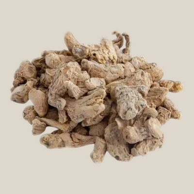 Tuana Gember Wortel – hele gemberwortel voor curry, soepen, marinades, gebak en warme dranken