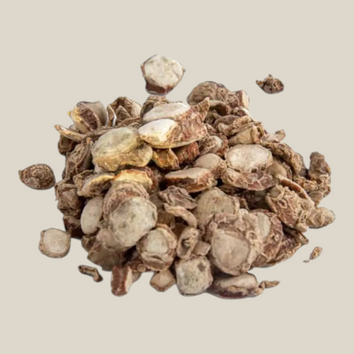 Tuana Kentjoer Gesneden – gesneden Indonesische kencur wortel voor curry, stoofschotels, sauzen en marinades