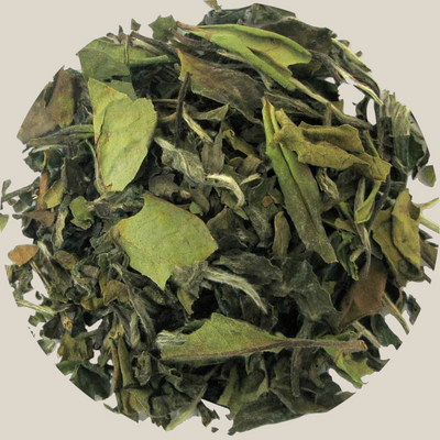 TuanaShop BV China Pai Mu Tan witte thee met gedroogde groene en zilverachtige theebladeren voor een zachte smaak.