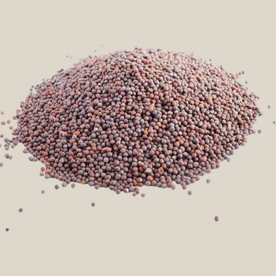 TuanaShop BV bruin mosterdzaad heel, aromatische en pittige specerij voor marinades en zelfgemaakte mosterd