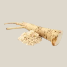 TuanaShop BV gemalen mierikswortel naast een verse, beige mierikswortelwortel voor een pittige smaakmaker.